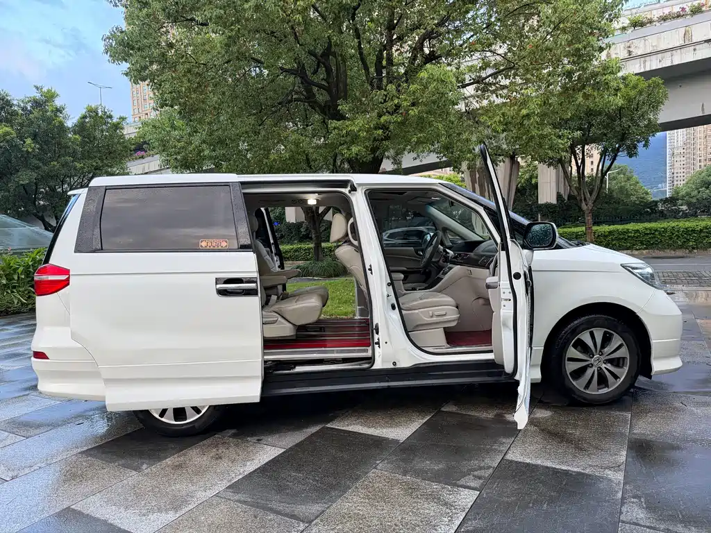 Honda Elysion — миниатюра 11