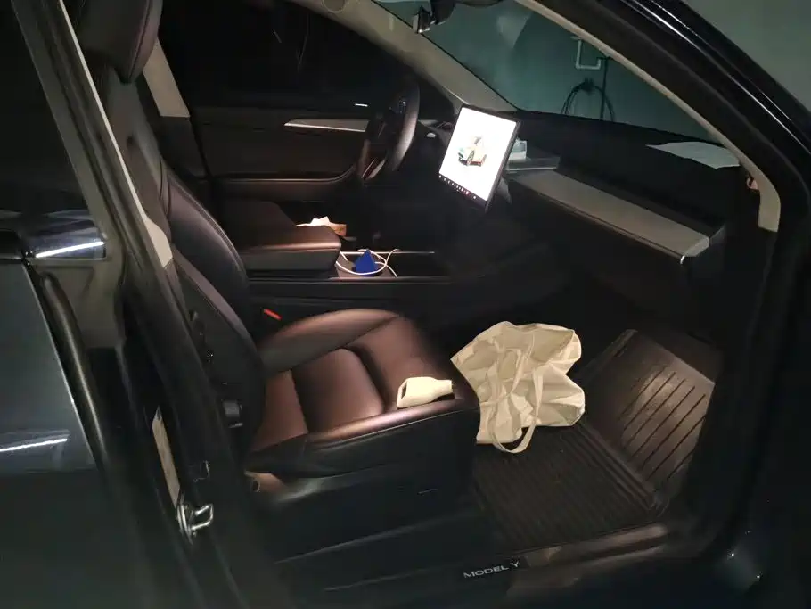 Tesla Model Y — миниатюра 8