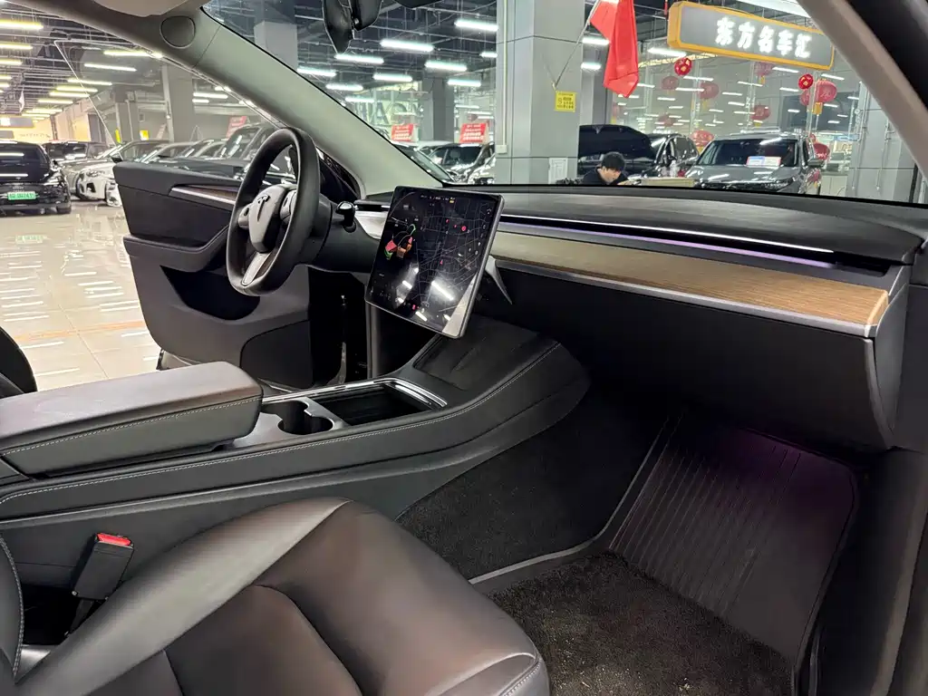 Tesla Model Y — миниатюра 10
