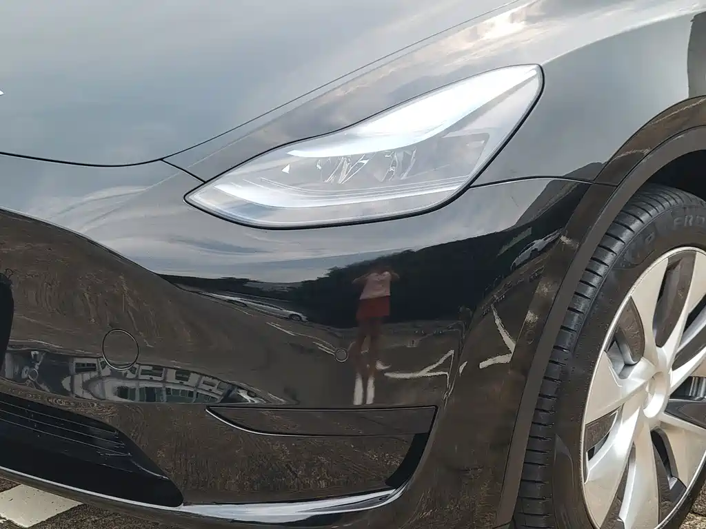 Tesla Model Y — миниатюра 4