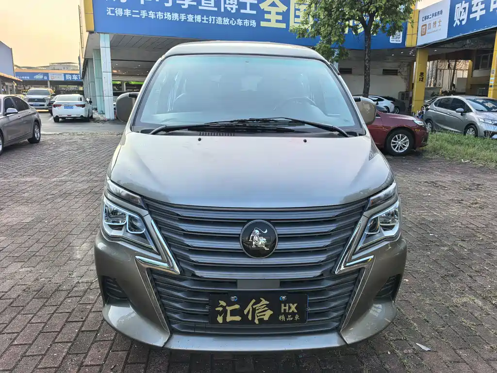 Fengxing Lingzhi — миниатюра 2