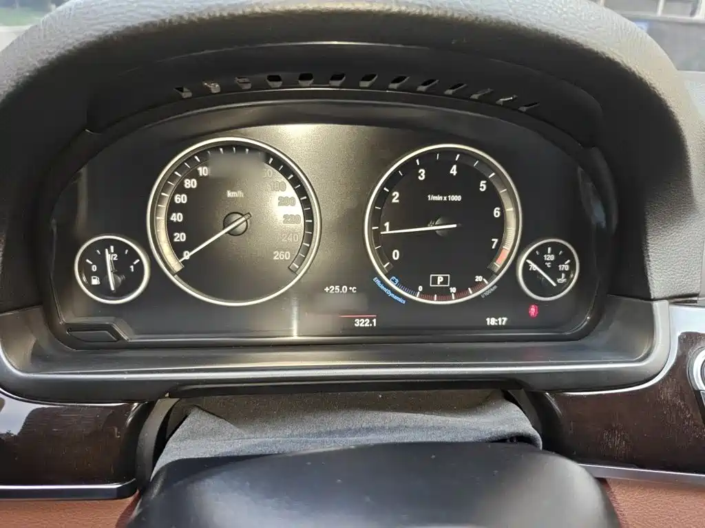 BMW 5 Series 5 2014 528Li Lead