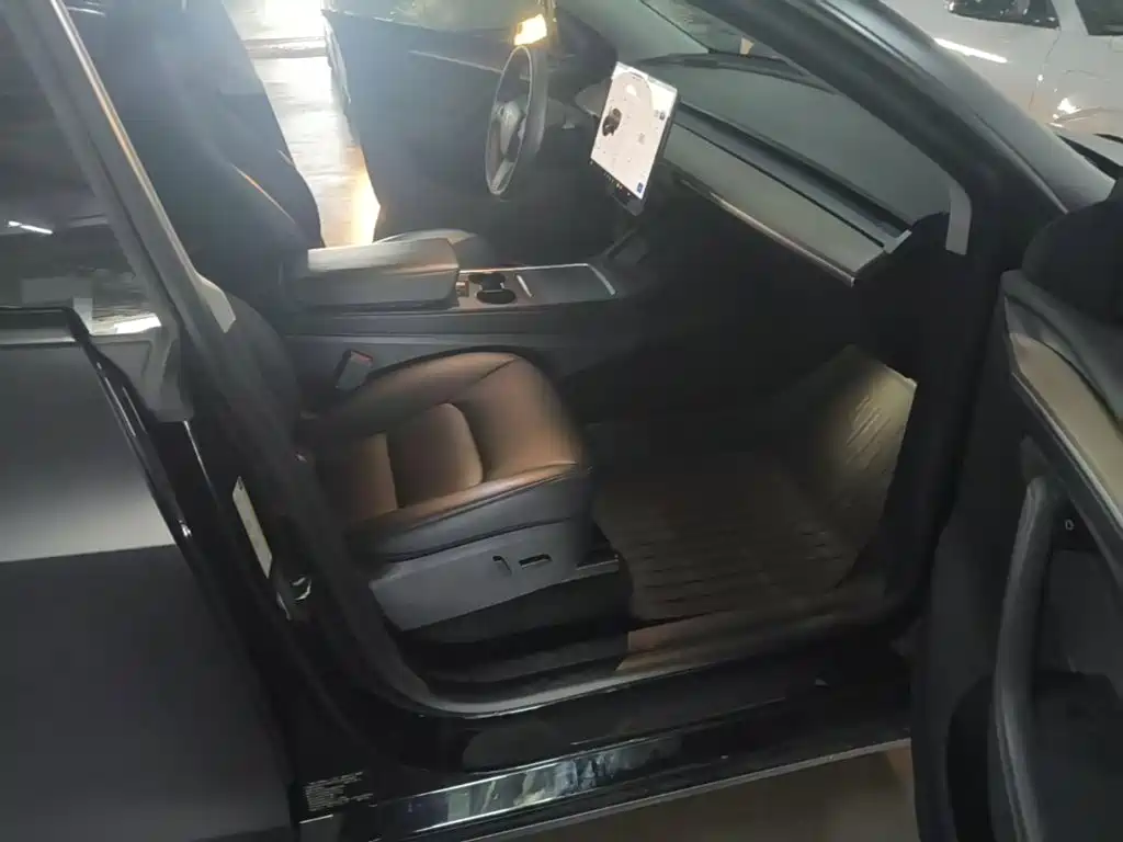 Tesla Model Y — миниатюра 18