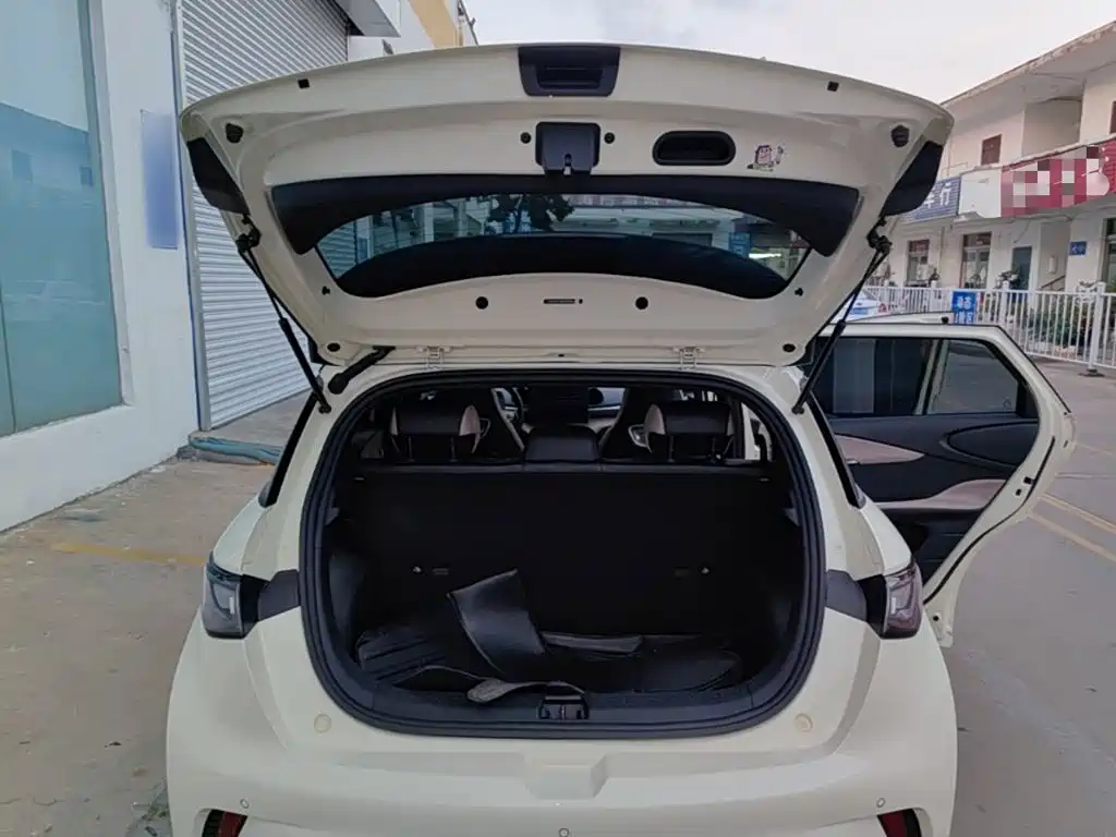 BYD Dolphin — миниатюра 19