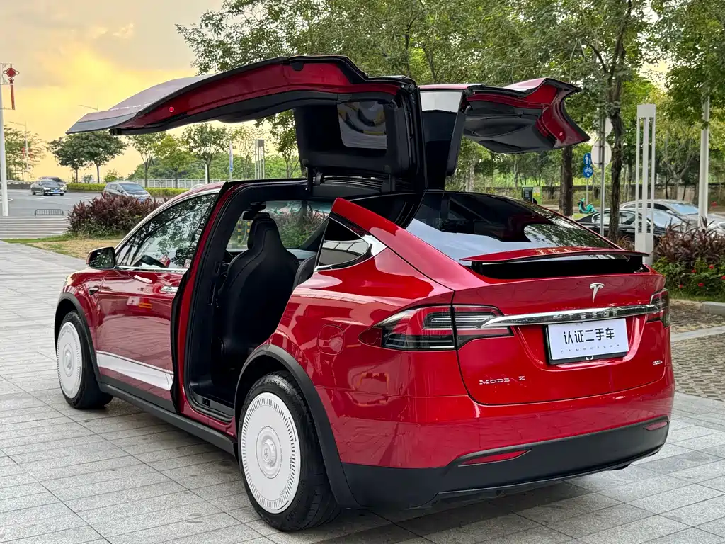 Tesla Model X — миниатюра 12