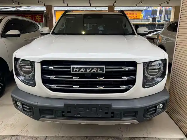 HAVAL BIG DOG