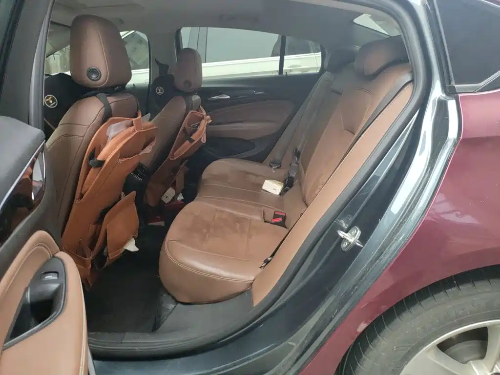 Buick Regal — миниатюра 13
