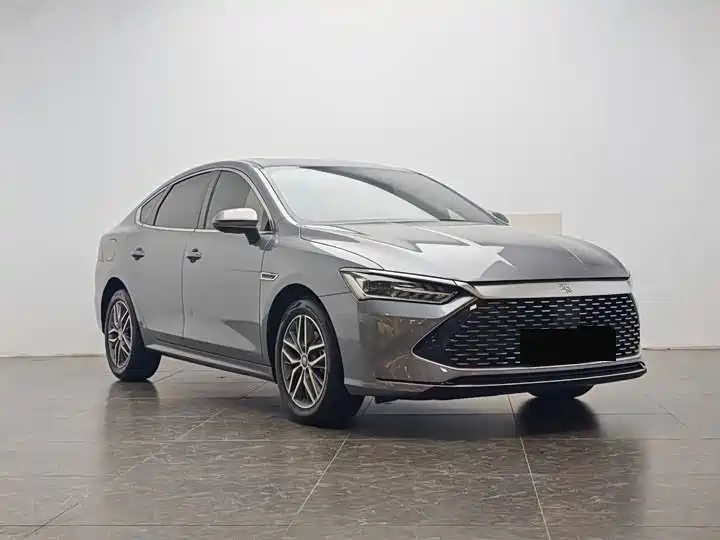 BYD Qin Plus PLUS 2024 DM-i 55KM