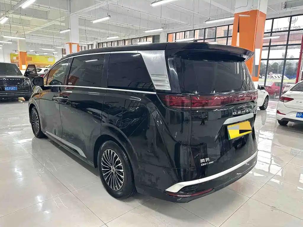 Denza Denza D9 — миниатюра 7