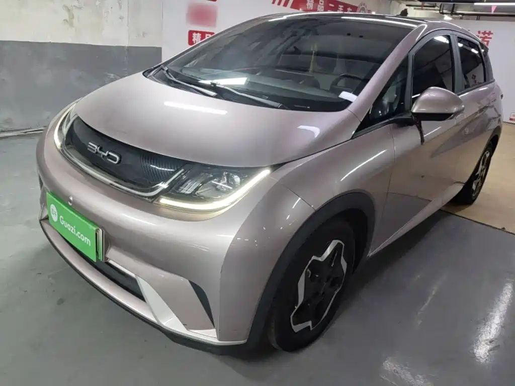 BYD Dolphin 2021 405km Fashion