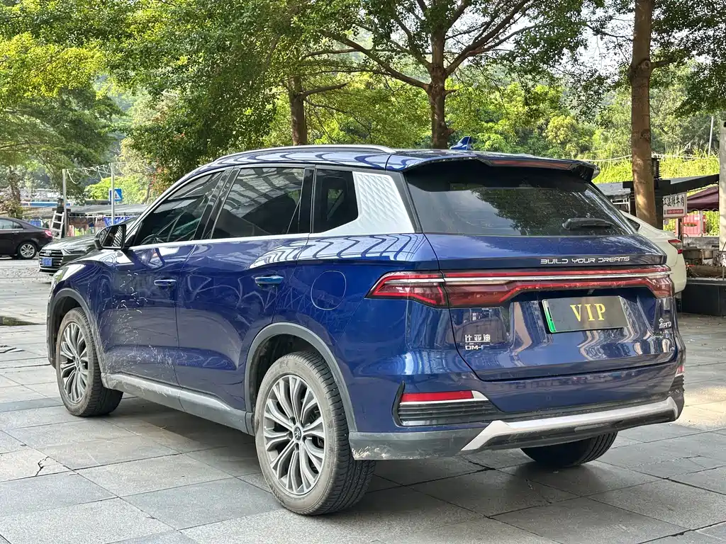 BYD Pro New Energy — миниатюра 6