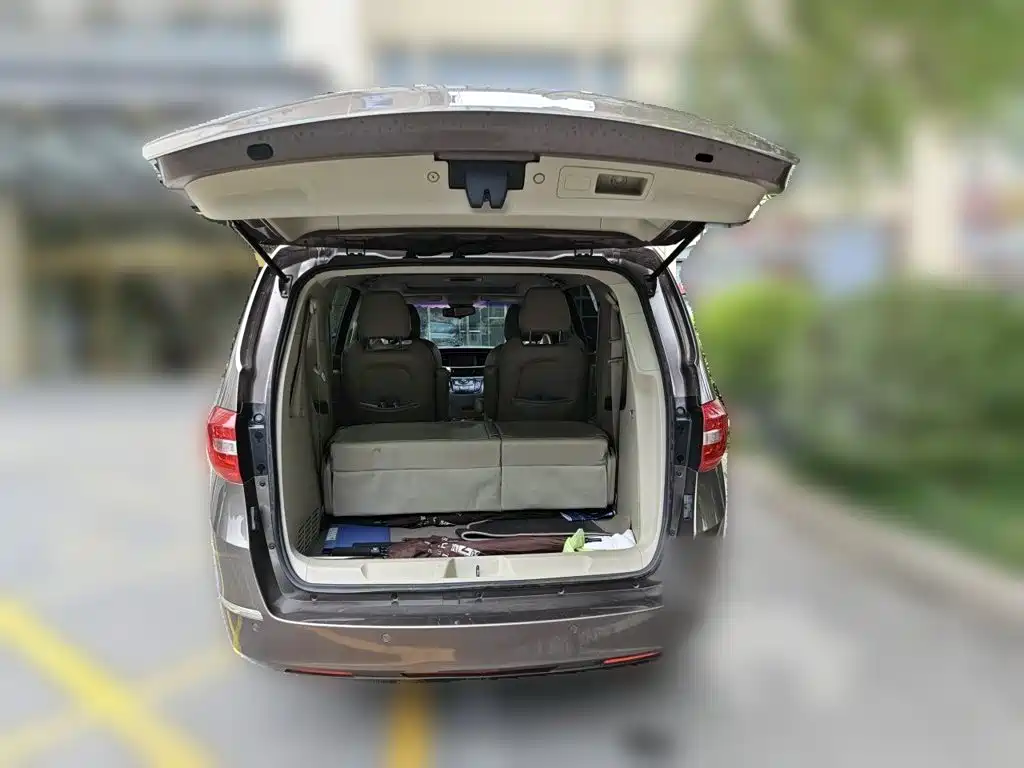 Buick GL8 — миниатюра 10