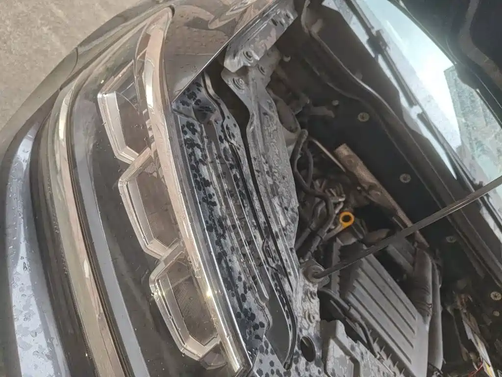Volkswagen Tharu — миниатюра 20