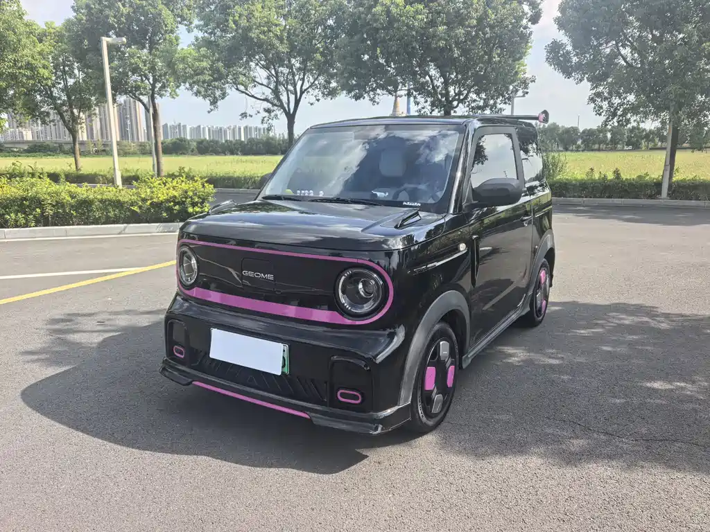 Galaxy Panda
