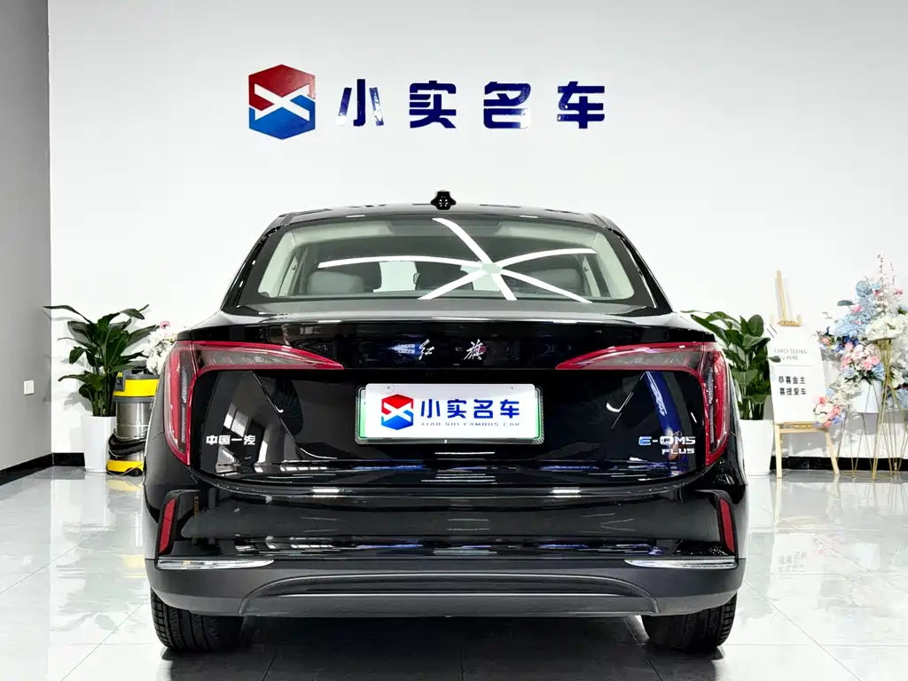 Hongqi HONGQI E QM5