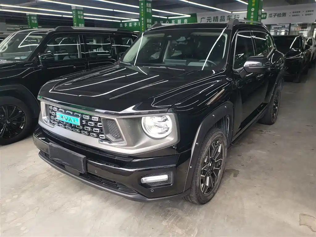 HAVAL  SECOND GENERATION BIG DOG NEW ENERGY