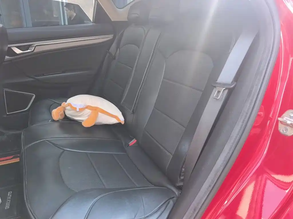 Geely Emgrand GS — миниатюра 13