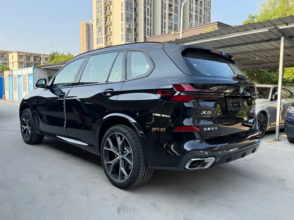 BMW X5 — миниатюра 7