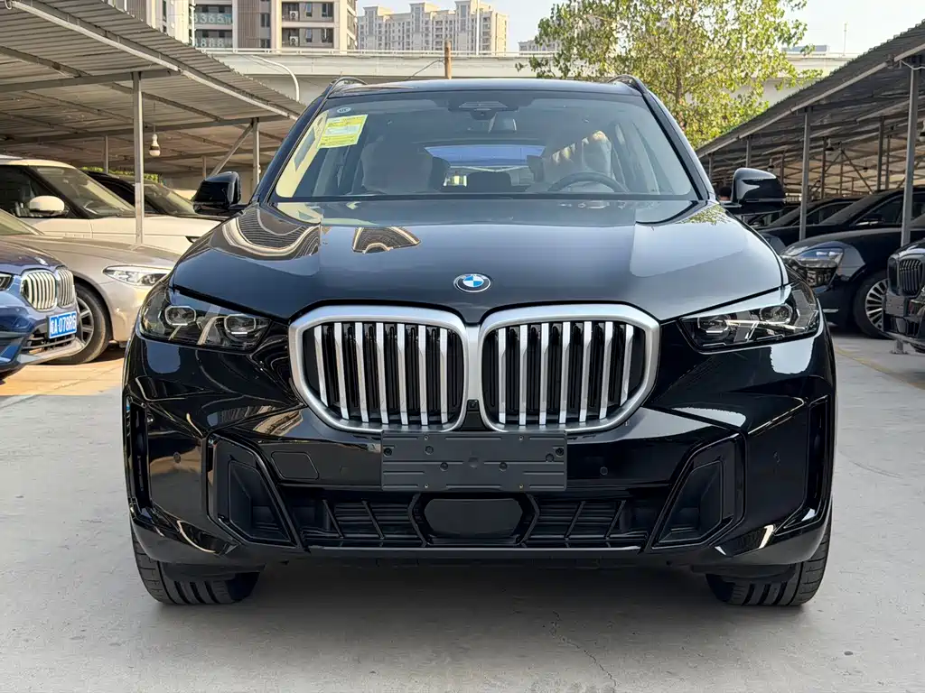 BMW X5 — миниатюра 2
