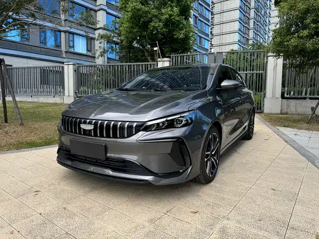 GEELY AUTOMOBILE BINRUI