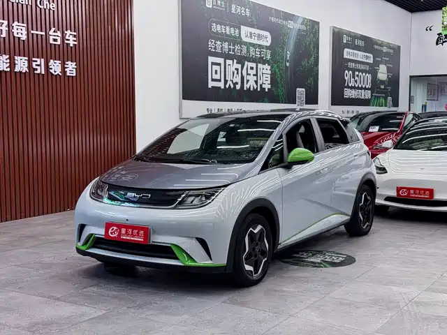 BYD Dolphin