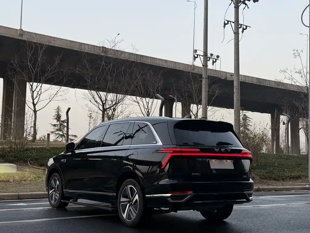 WEI PAI WEI BRAND BLUE MOUNTAIN