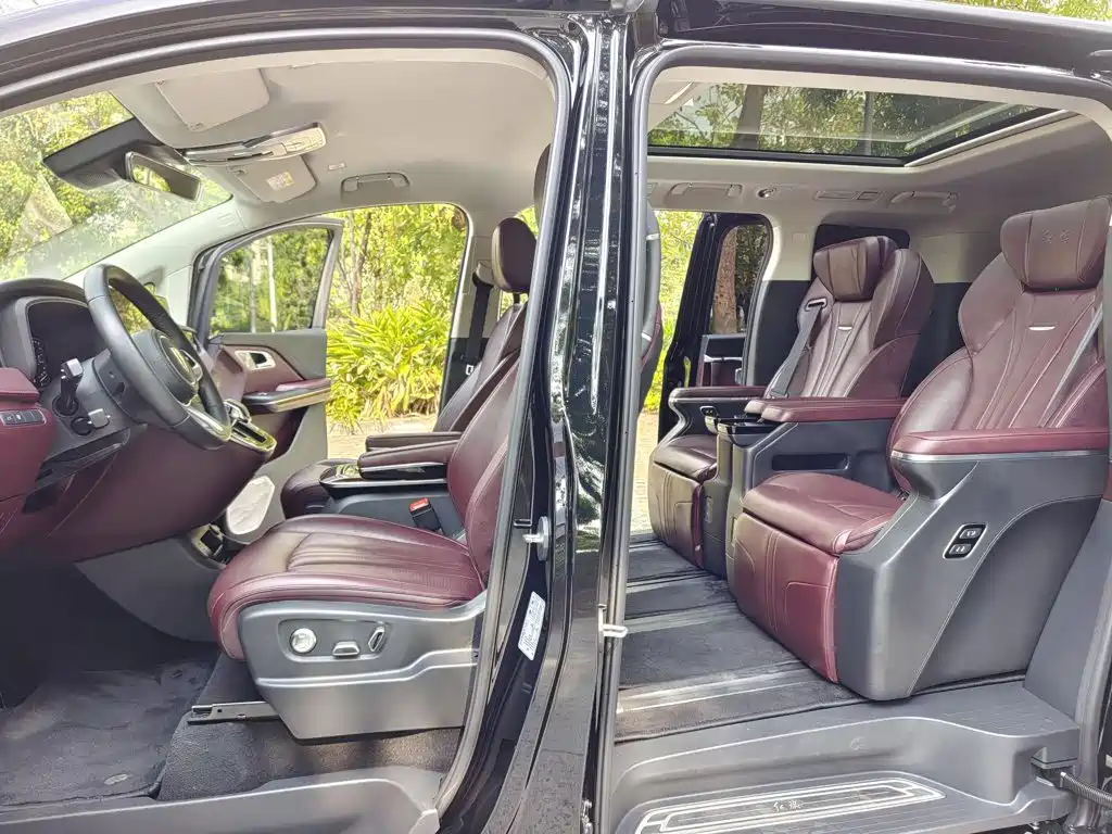 Hongqi HQ9 2023 2.0T