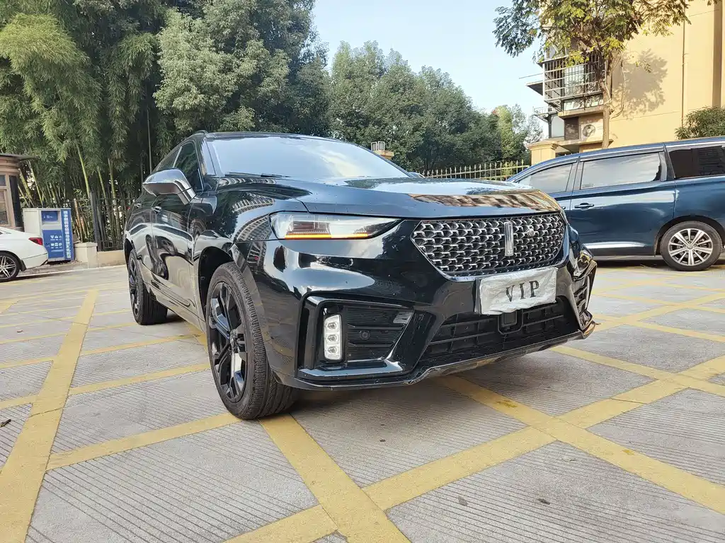 WEI PAI WEI BRAND VV7