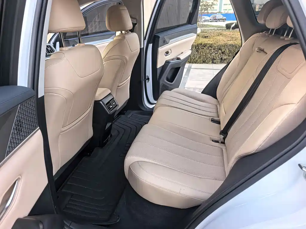 BYD SONGJIANG NEW ENERGY