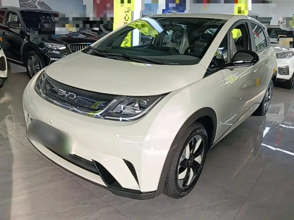 BYD Dolphin — миниатюра 2