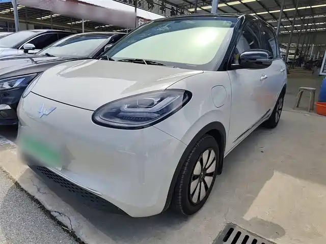 WULING AUTOMOBILE WULING BINGGUO 2025