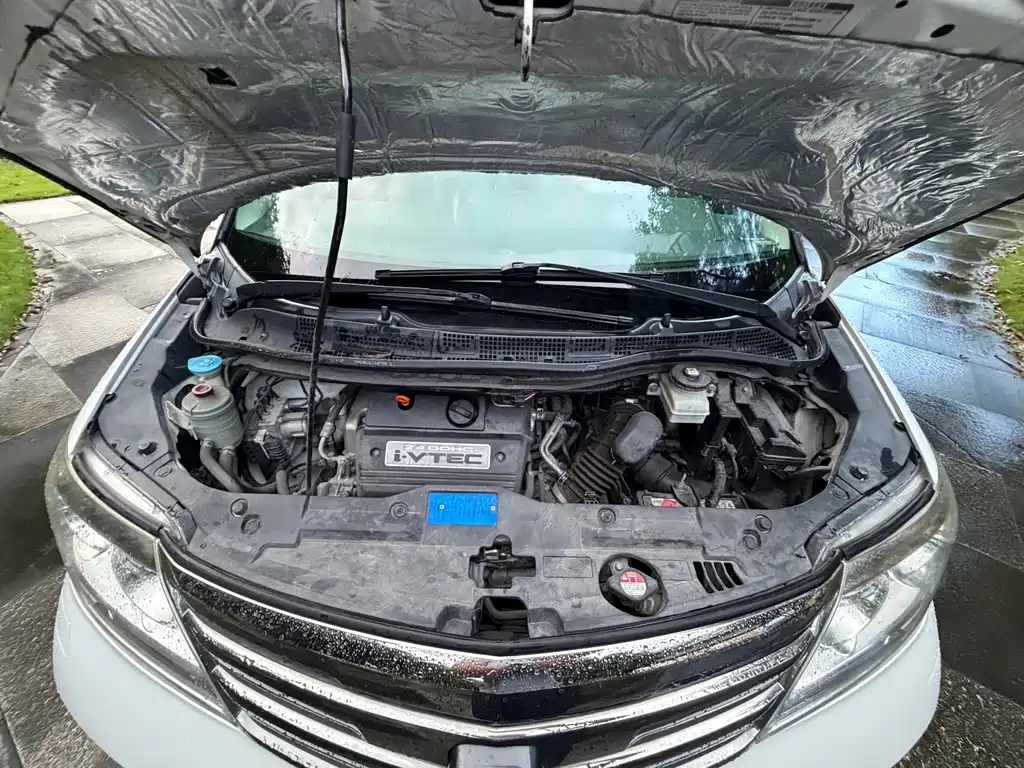 Honda Elysion — миниатюра 24