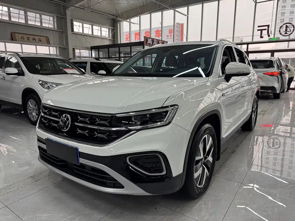 VOLKSWAGEN TANYUE