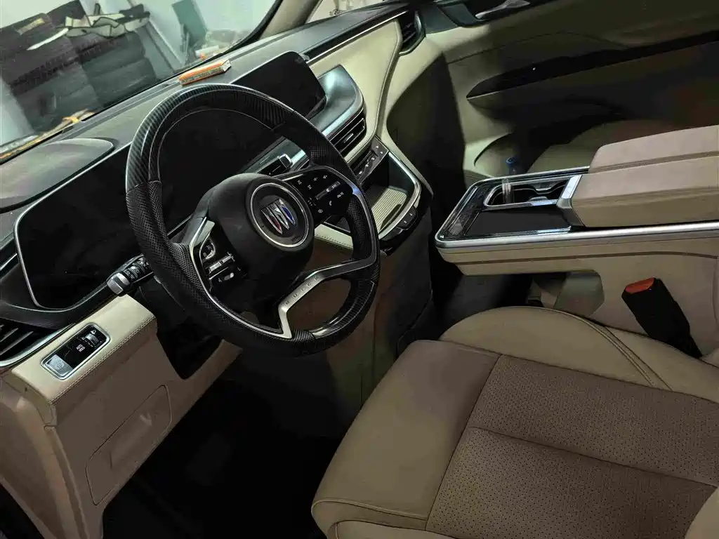 Buick GL8 — миниатюра 6