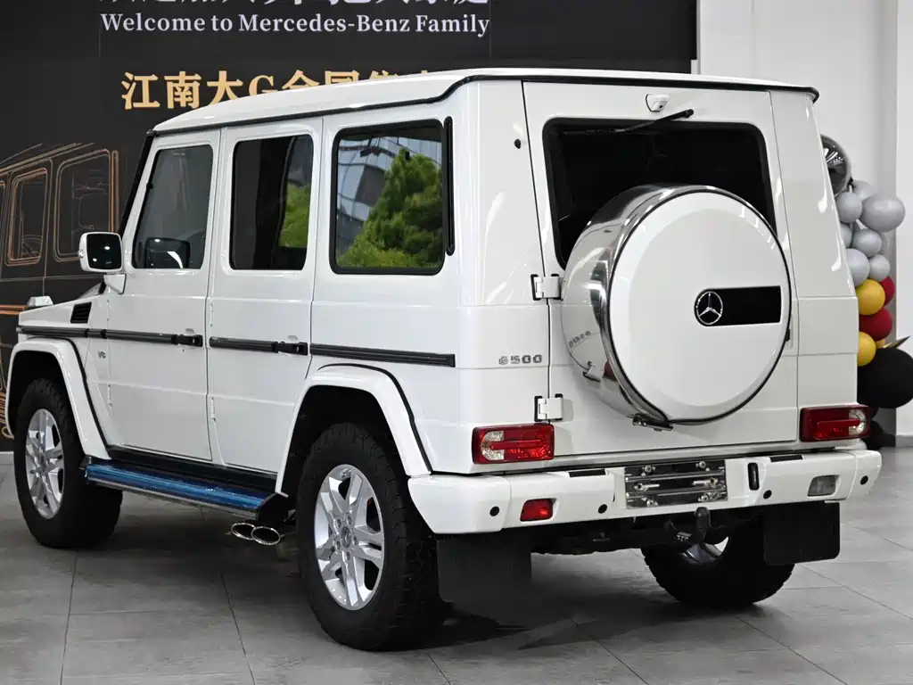 Mercedes-Benz G-Class G 2010 G 500