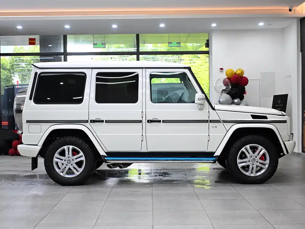 Mercedes-Benz G-Class G 2010 G 500