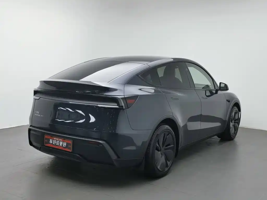 Tesla Model Y — миниатюра 2
