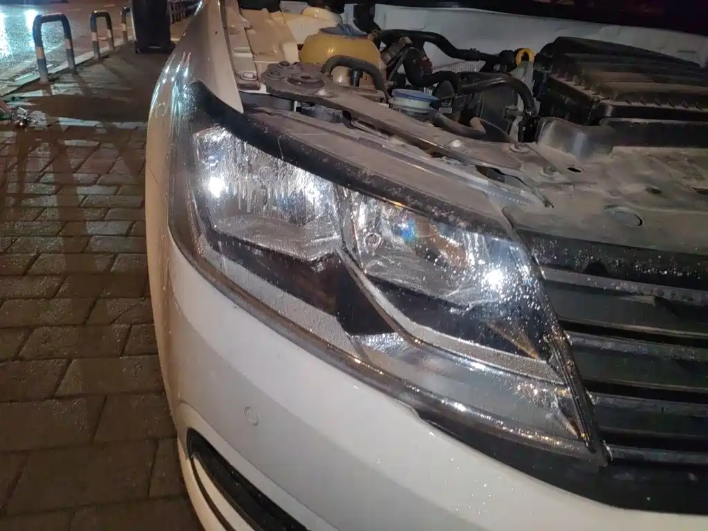 Volkswagen Gran Lavida — миниатюра 7