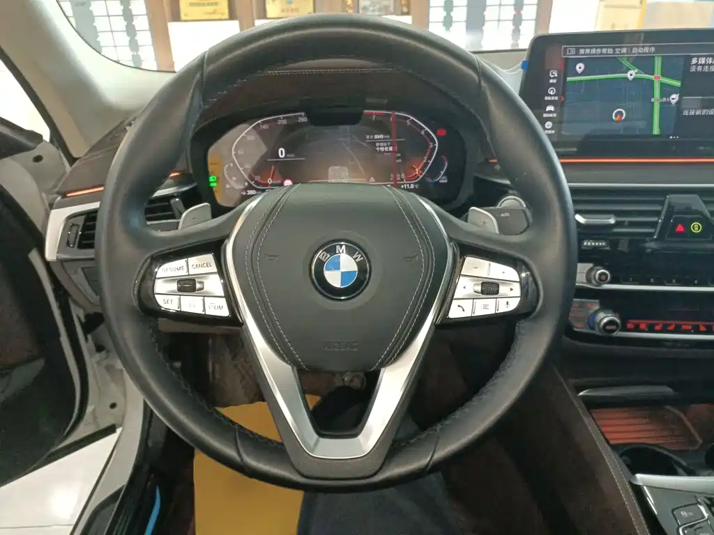BMW 5 Series 5 2022 530Li Premium Luxury