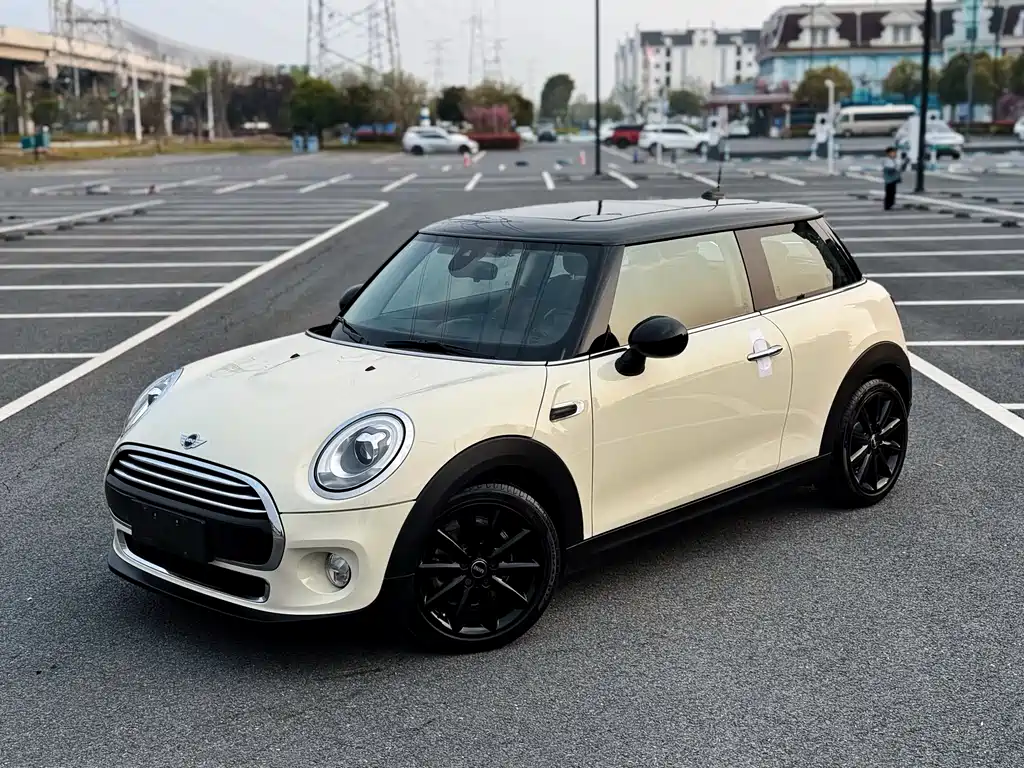 Mini Mini 2018