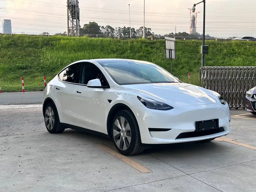 Tesla Model Y — миниатюра 4
