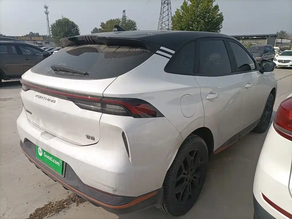 Fengxing Fengxing Leiting — миниатюра 7