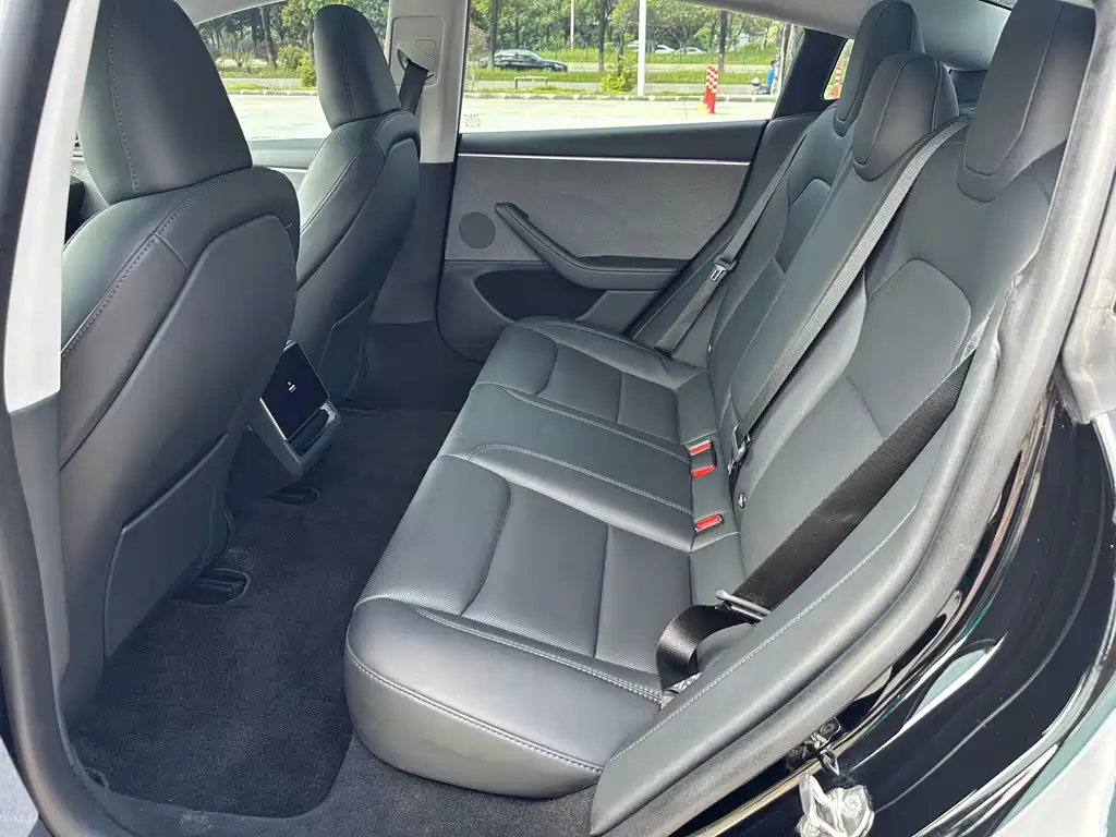 Tesla Model 3 — миниатюра 5