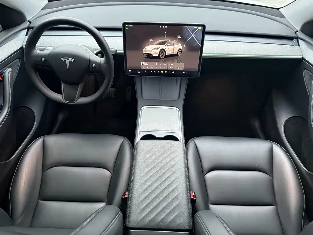 Tesla Model Y — миниатюра 8