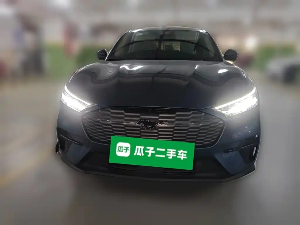 Ford Mustang Mach-E — миниатюра 2