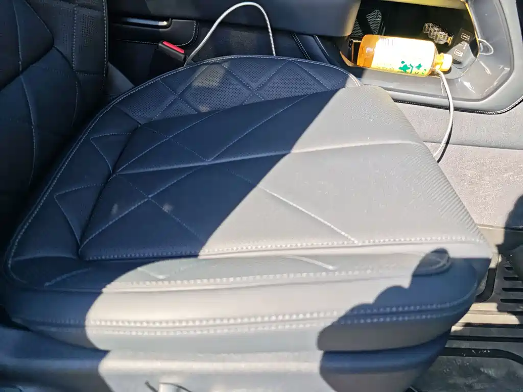 FANG CHENG BAO LEOPARD 5