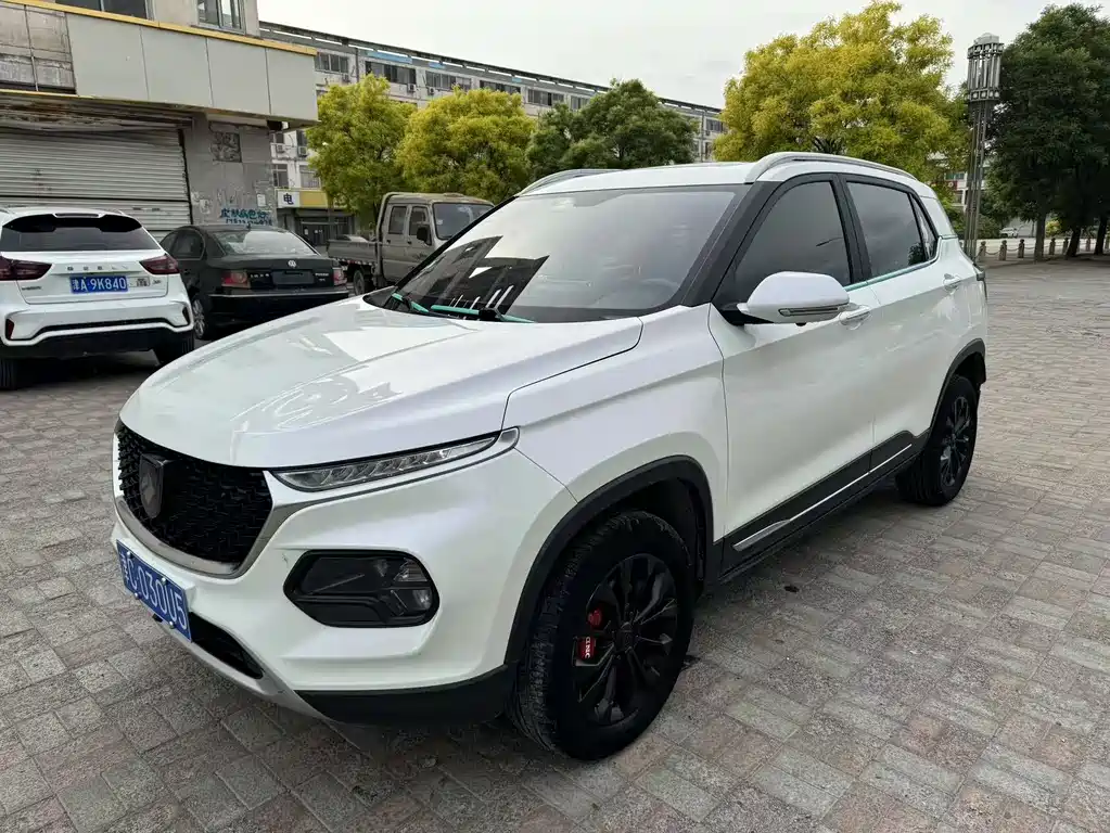 Baojun 510 2019