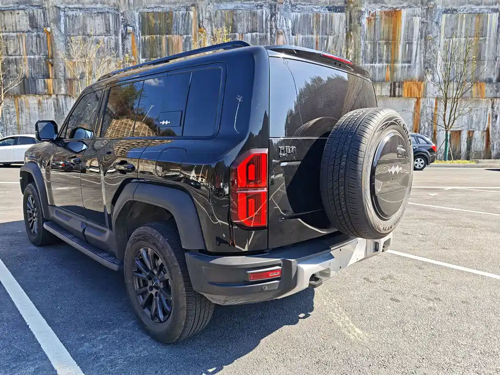 FANG CHENG BAO LEOPARD 5