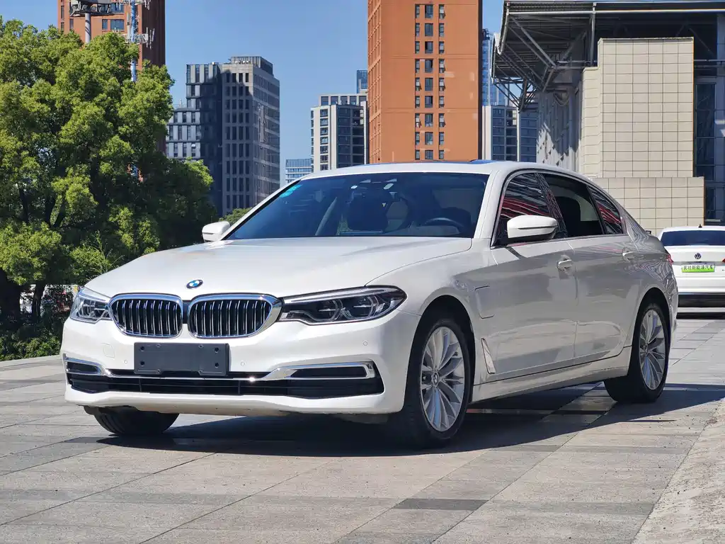 BMW 5 Series New Energy 2019
