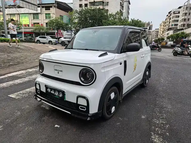 2025 Geely LC (Panda)